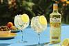 Gordon's Sicilian Lemon w bottle landscape (1)