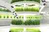 Future of Food competition